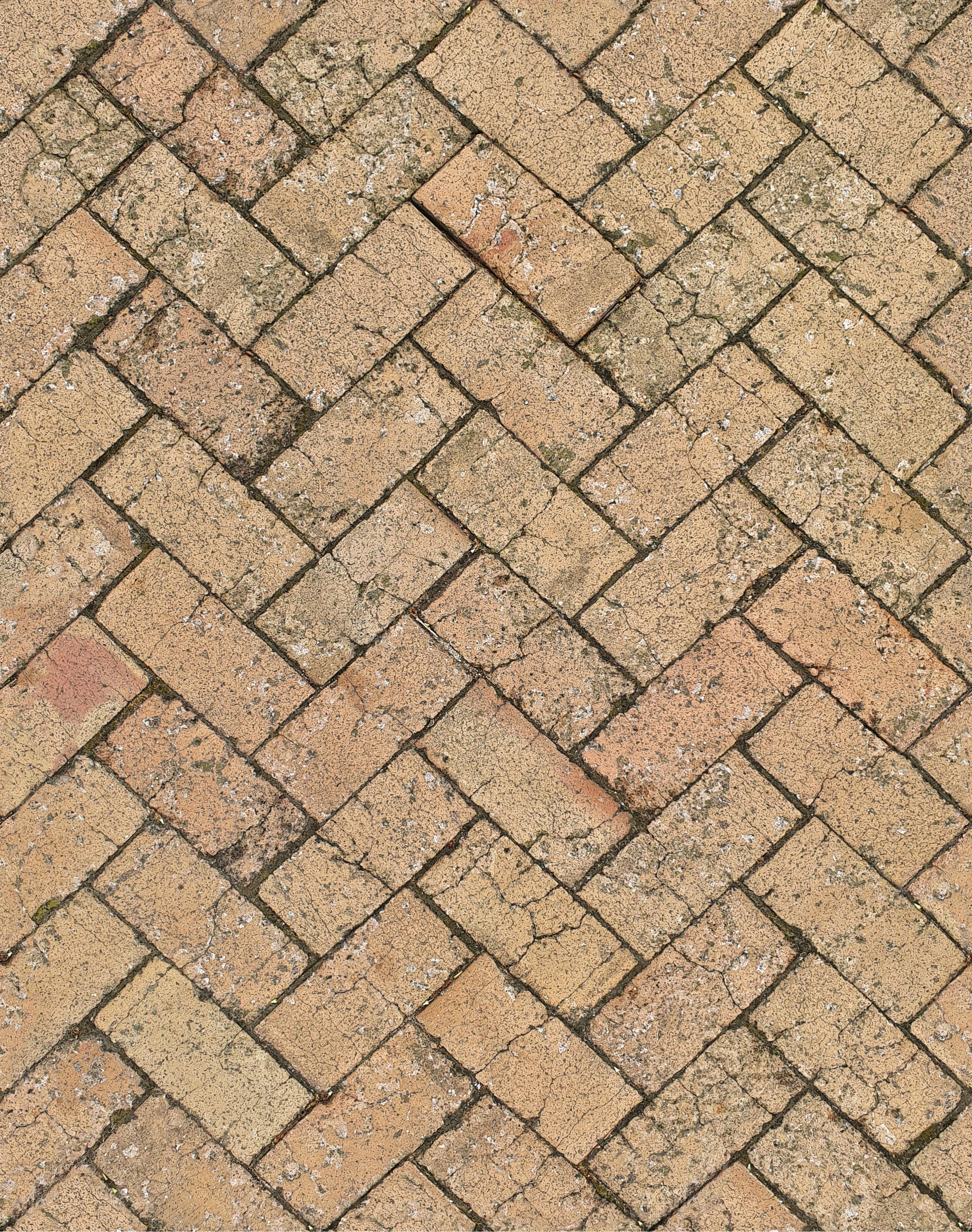 Brick paver walkway surface in Austin